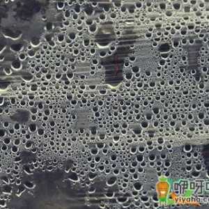 大寒会下雪吗最新