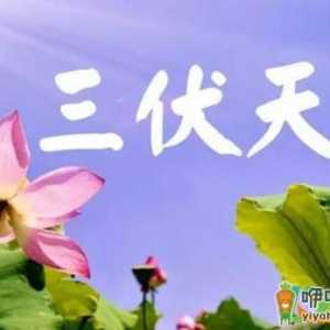 2021三伏天从几月几号到几月几号