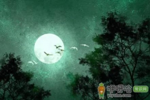 寒衣是纸的还是布的