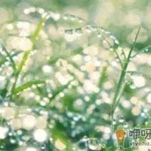 2022年白露是什么时候