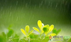烧开的雨水与烧开的自来水哪个干净