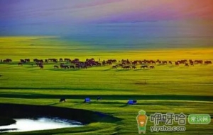 2021国庆假期木兰草原烟花秀每天都有吗