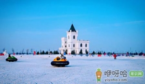 2021-2022哈尔滨冰雕节什么时候开始什么时候结束