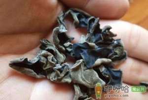 发霉的木耳用热水烫了可以吗