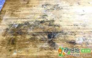 砧板发霉变黑怎样去除