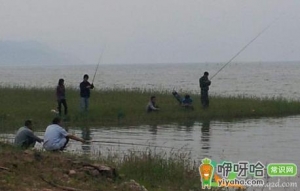 下雨涨水什么钓位最好钓鱼