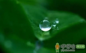 今年白露后会干旱吗2021