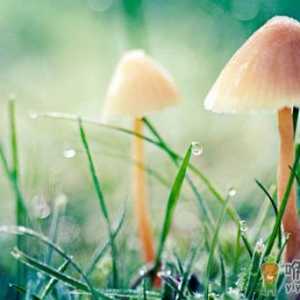 2021年十月份雨水多吗