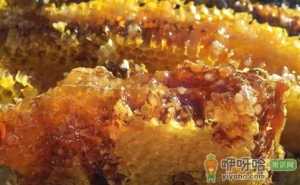 正宗的蜂蜜是什么颜色的