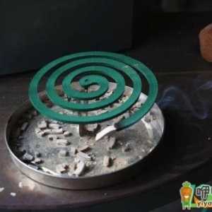 蚊香泡水可以杀死花盆飞虫吗