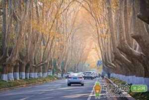 10月份的南京冷吗