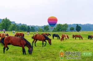 2021武汉乡村旅游惠民券什么时候预约