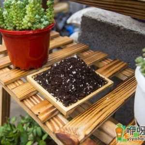 农村哪种土适合养花