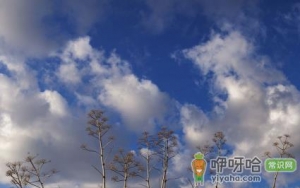 12月份武汉的天气冷吗