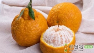 丑橘买回来放冰箱还是常温保存