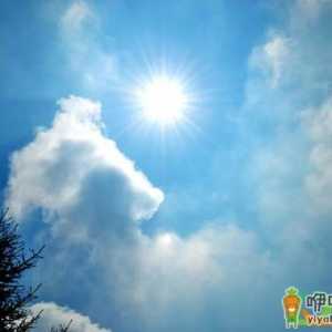 2020年入伏是多少号