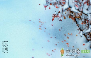 小寒是第几个九2022