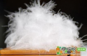 飞丝绒是什么材料做的