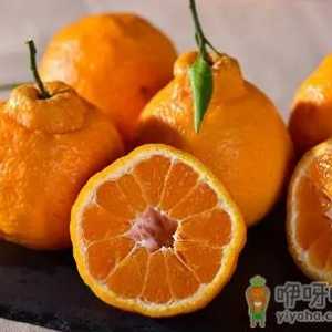 丑橘能卖到几月份