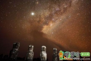 2021年牛年预言是什么