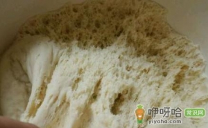 酵母发面包包子用不用放碱面