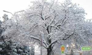 今日几点大雪节气2022