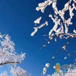 哈尔滨今年什么时候下雪2021