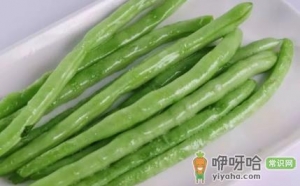 四季豆怎么看老不老