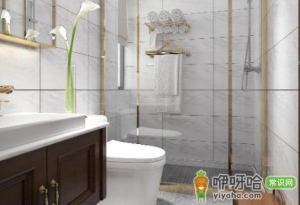 家里的厕所为什么会出现蚂蟥