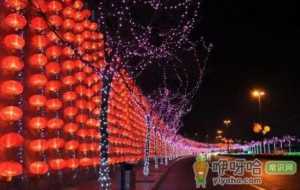2022年几月份过春节