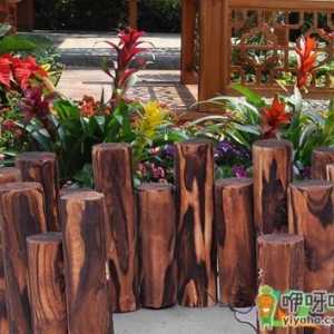 怎么把树干掏空做花盆