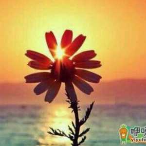 2021年1月有哪些节日纪念日