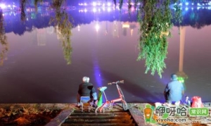 夜钓鱼能看见鱼饵吗