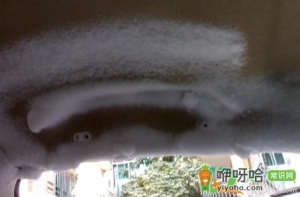 车顶长霉了怎么办