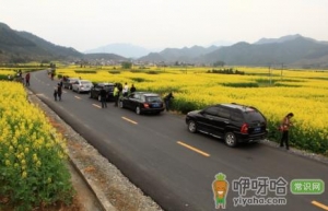 2022年春节自驾回程要核酸检测吗