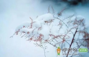 大雪节气会下雪吗