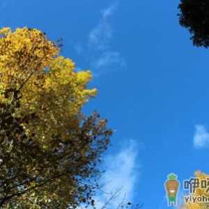 今年秋老虎哪天开始哪天结束