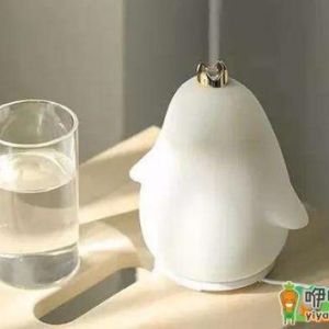 加湿器是开暖气的时候用的吗