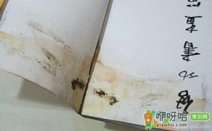 书发霉了怎么去除霉斑