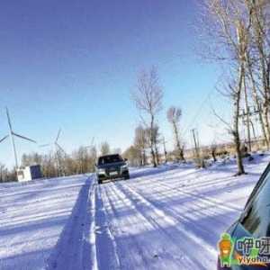 下雪天开车是跟前车印记走还是自己走好