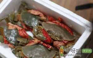 三门青蟹怎么洗干净