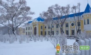 哈尔滨一般冬天冷到什么时候