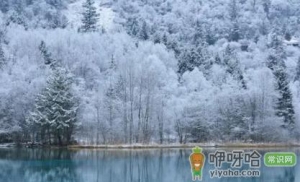 2022重庆的冬天什么时候开始