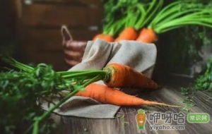 胡萝卜异常生长是什么原因