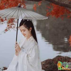 汉服用洗衣机的什么功能洗