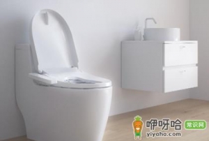 马桶盖长黑霉怎么去除