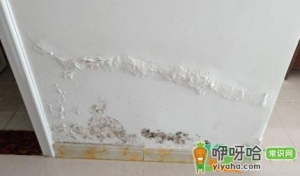 怎么能看出房子返潮还是漏水