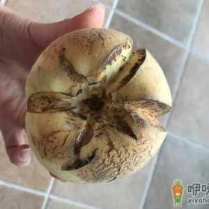 爆炸桃是什么品种