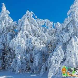 2020大雪节气能办婚礼吗