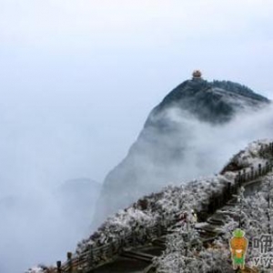 哪些人不适合到高海拔地区旅游？